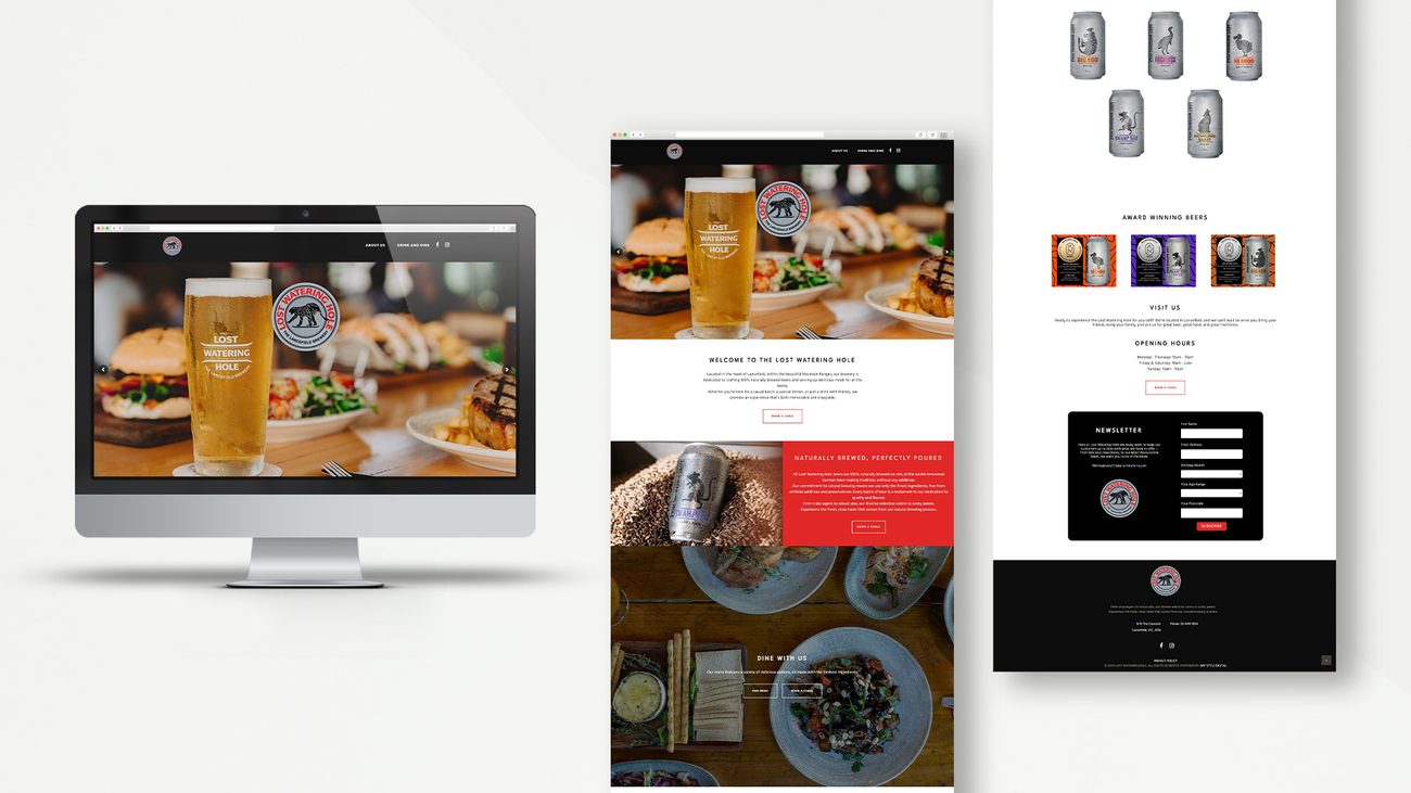 Website project 2